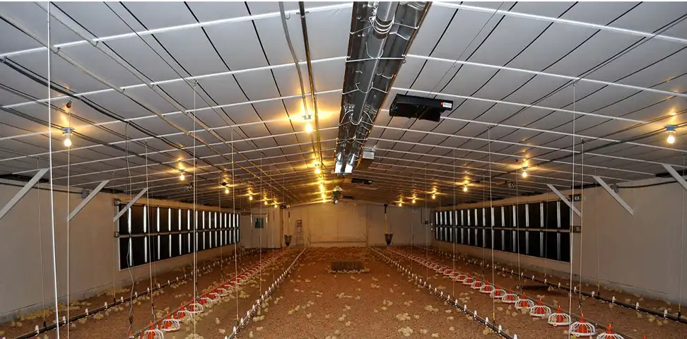 بخاری تابشی گرماتاب در مرغداری و دامداری